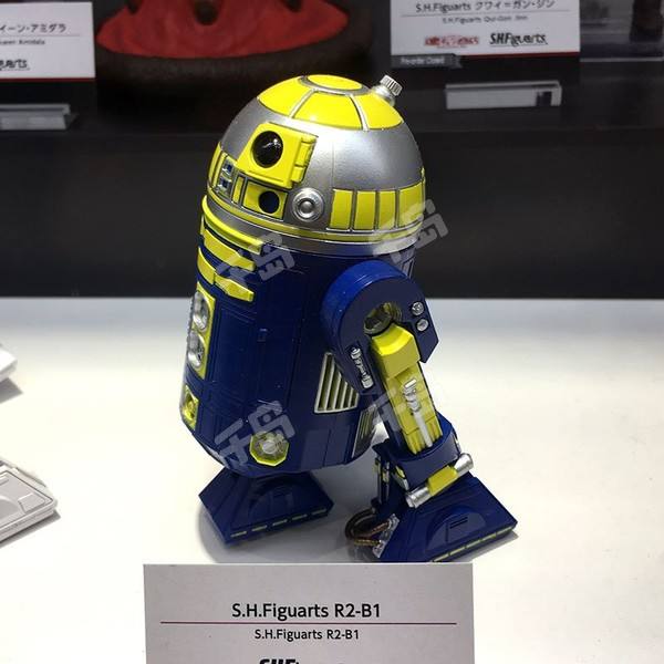 SHF R2-B1