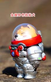 金属异色款柴犬-资料图