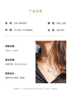  应龙·项链-资料图