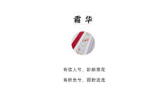 霜华·飘带-资料图