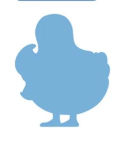 特别款-神秘占卜鸭-资料图