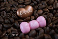 Teddy-粉色异色款-资料图