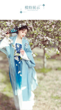 梨花泪-资料图