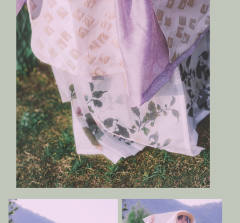 瑶台月·比甲-资料图