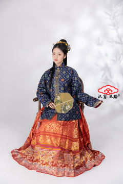 婚服飞凤天马满地·马面裙-资料图