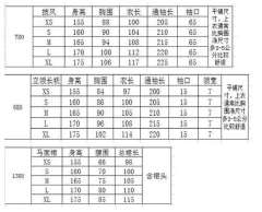 贞儿-资料图
