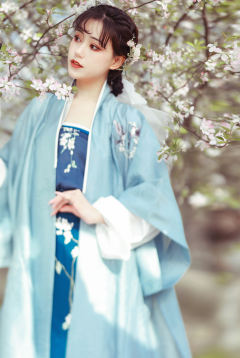 梨花泪-资料图