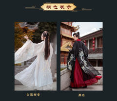 辰龙·大袖衫-资料图