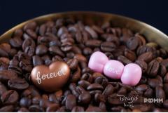 Teddy-粉色异色款-资料图