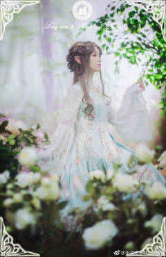 妖精王国 提花版-资料图