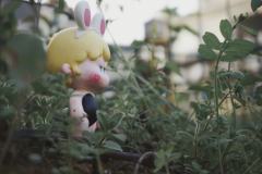 小花TREE-资料图