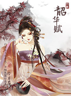 红尘韶华赋-资料图