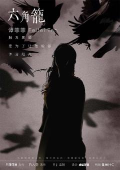 六角笼-资料图