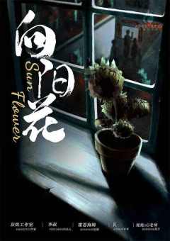 向阳花-资料图