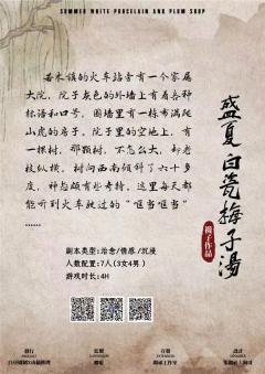 盛夏白瓷梅子汤-资料图