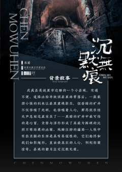 沉默无痕-资料图