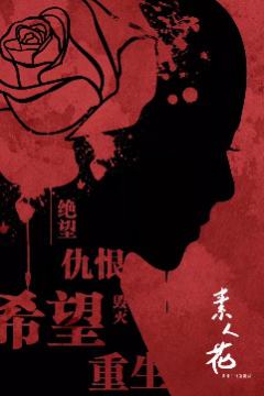 素人花（城市限定）-资料图