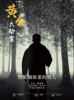 黄金大劫案-资料图