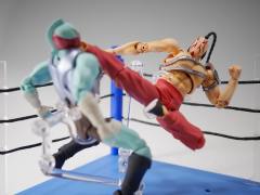 SHF 复仇女神-资料图