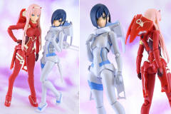 SHF 草莓-资料图