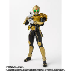 SHF 真骨雕 假面骑士Beast-资料图