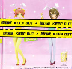 EX Figure 木下秀吉 Bunny ver.-资料图