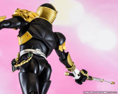 SHF 真骨雕 假面骑士Beast-资料图