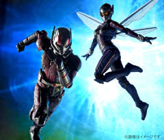 SHF 黄蜂女-资料图