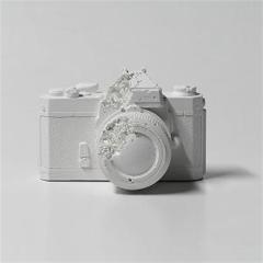Eroded Camera , 2012-资料图