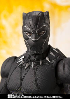 SHF 黑豹-资料图