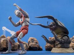 SHF 安东拉-资料图