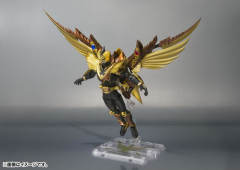 SHF 假面骑士 Odin-资料图