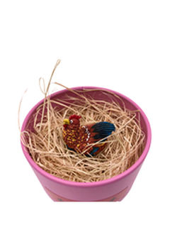 MINI母鸡-资料图