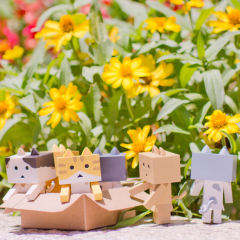 Nyanboard Figure Collection 阿楞 Tabby(bicolor)-资料图