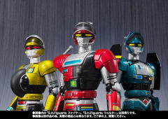 SHF 火焰鸟-资料图