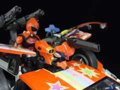 SHF 秋叶红-资料图
