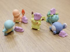 妙蛙种子 百变怪 -资料图