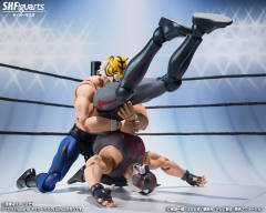 SHF 虎面人-资料图