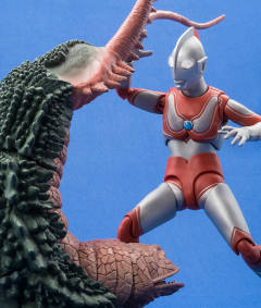 SHF 双尾怪-资料图