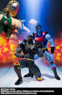 SHF 罗宾假面-资料图