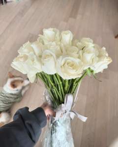 roses_are_rosie:🦭
