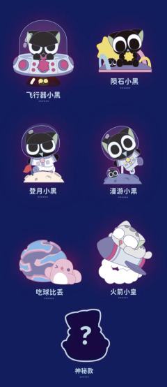 登月小黑-资料图