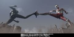 SHF  美弗拉斯-资料图