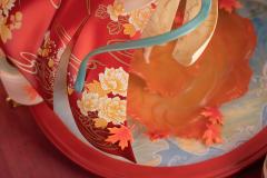 公孙离 - 惊鸿舞ver.-资料图