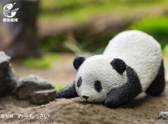瑜伽熊猫系列-资料图