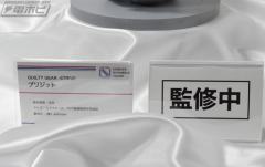 SSF 布丽姬-资料图