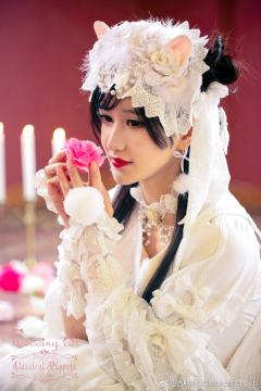 白猫姬 手袖-资料图