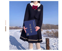 安莉丝女子学院·套装-资料图