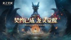 龙之灵域-资料图