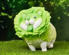 香菇貂-嗖嗖精灵-资料图